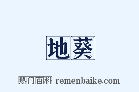 地葵是什么意思的图片
